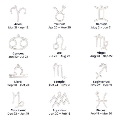 12 polished stainless steel zodiac sign necklaces