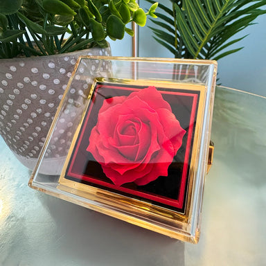 To My Beautiful Wife Love Knot Necklace with Rotating Rose Gift Box Rose Display
